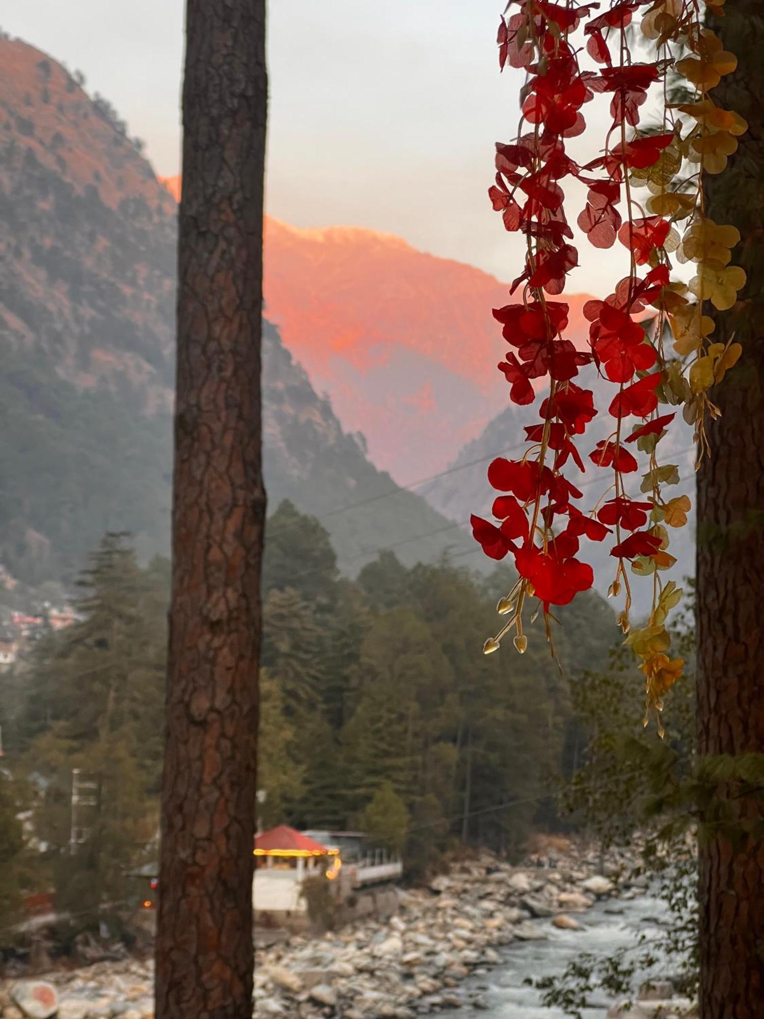 Ahava Kasol Riverside Cafe And Cottages Exterior photo